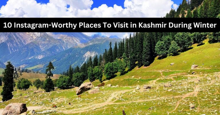 10 Instagram-Worthy Places To Visit in Kashmir During Winter