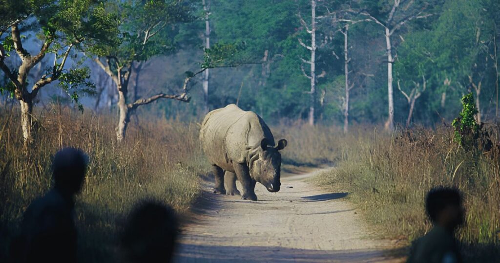 Chitwan National Park